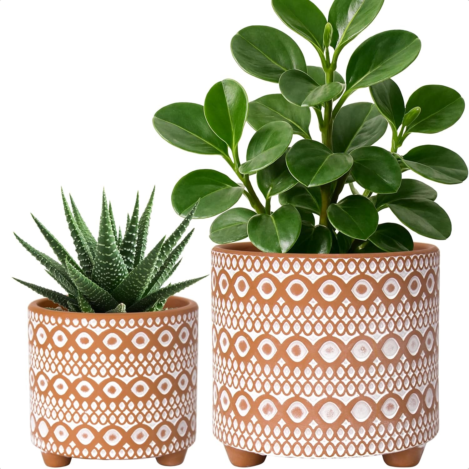 Set of 2 Terracotta Planter Pots, 4 Inch & 6 Inch, Design Plants Pot with Drainage Hole, Desert Mirage, Terracotta/White, 31-953-B-1