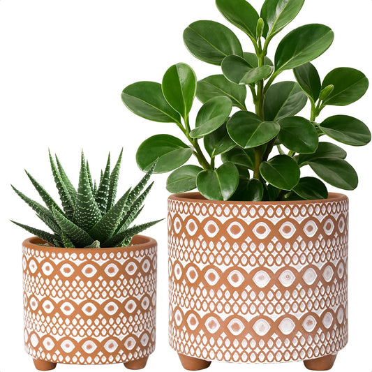 Set of 2 Terracotta Planter Pots, 4 Inch & 6 Inch, Design Plants Pot with Drainage Hole, Desert Mirage, Terracotta/White, 31-953-B-1
